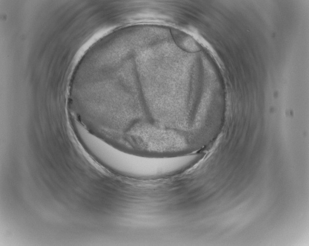 X0000087681333200706011644