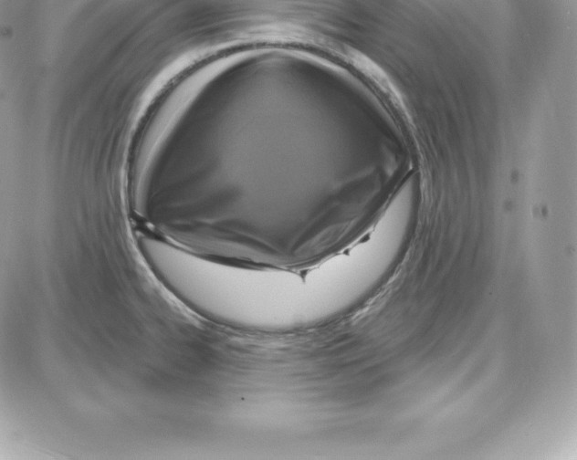 X0000087681334200706011644