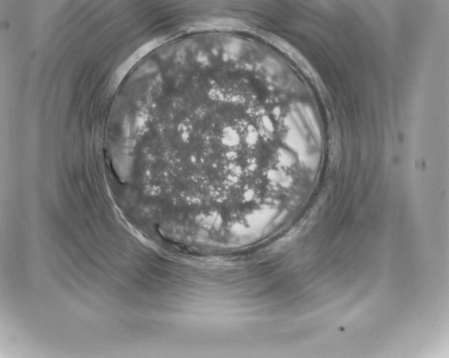 X0000087681337200706011644