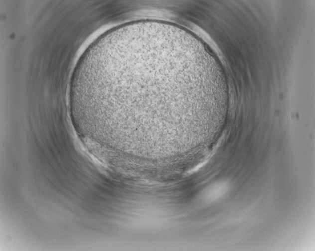 X0000087681339200706011644