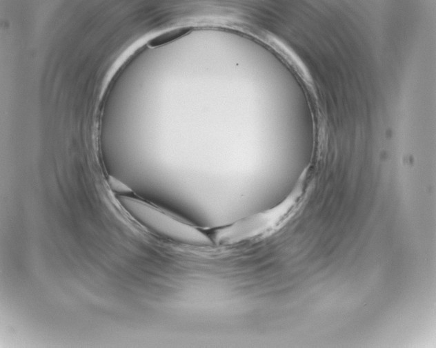 X0000087681340200706011644