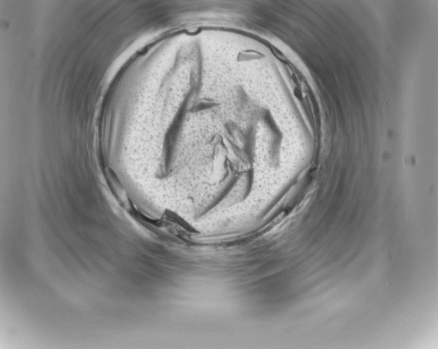 X0000087681341200706011645