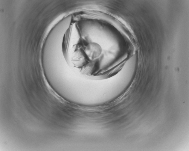 X0000087681342200706011645