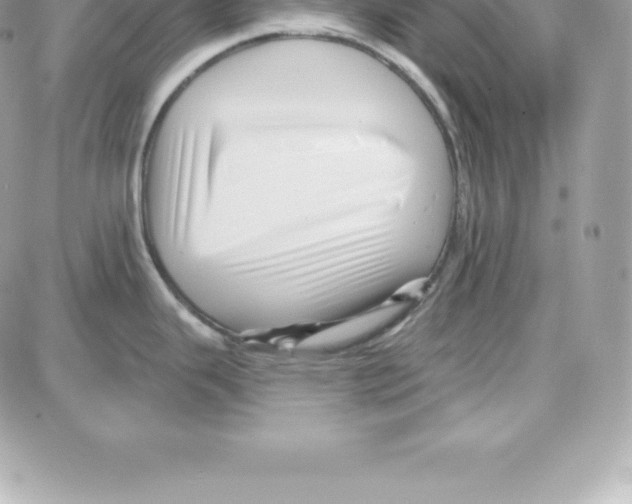 X0000087681343200706011645