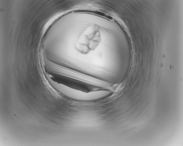 X0000087681344200706011645