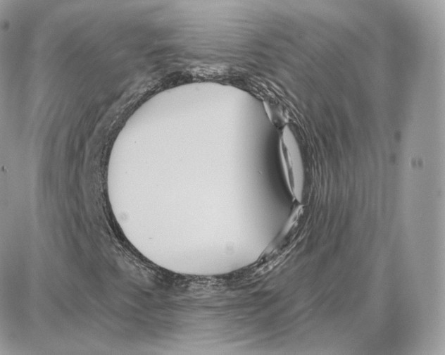 X0000087681345200706011644