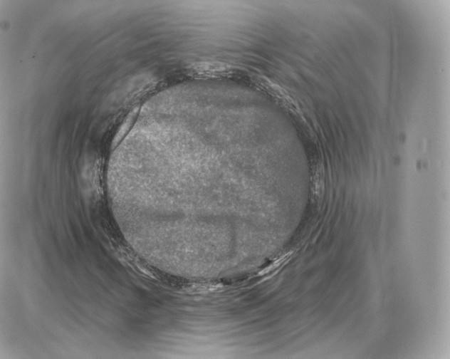 X0000087681346200706011644