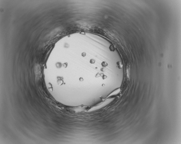 X0000087681347200706011644