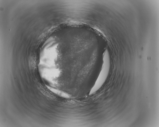 X0000087681348200706011644