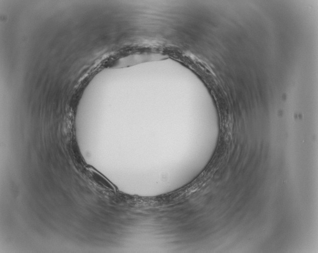 X0000087681349200706011644