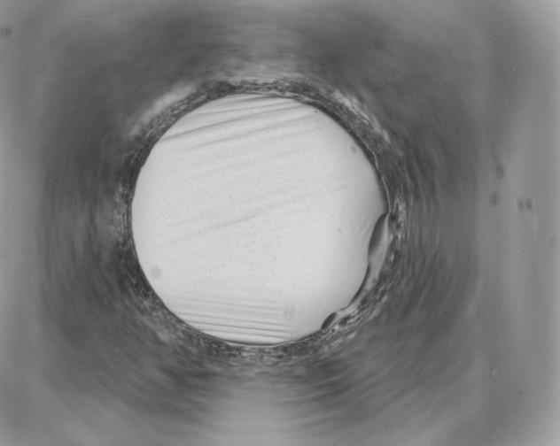 X0000087681350200706011644