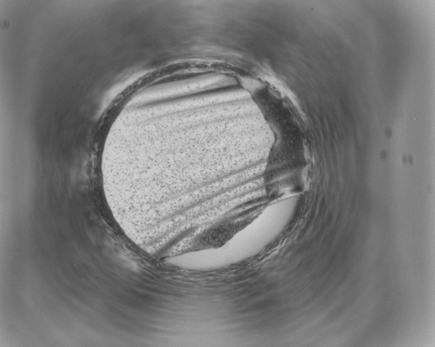 X0000087681352200706011644