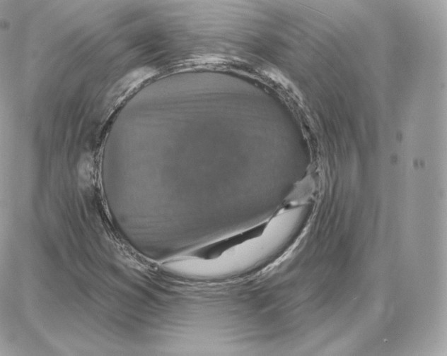 X0000087681353200706011644