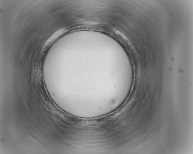 X0000087681354200706011644