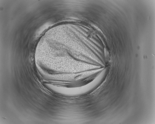 X0000087681355200706011644