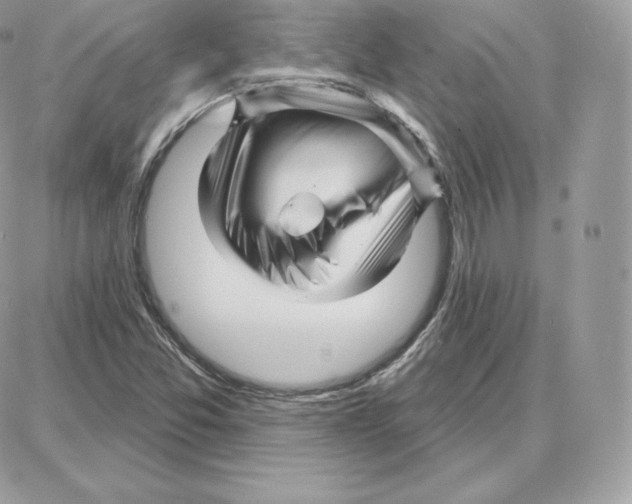 X0000087681357200706011644