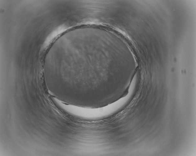 X0000087681359200706011644