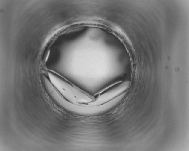 X0000087681360200706011644