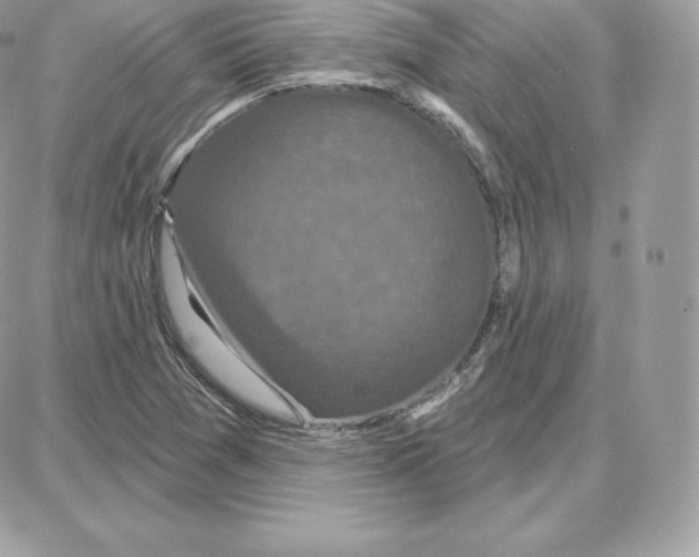 X0000087681361200706011644