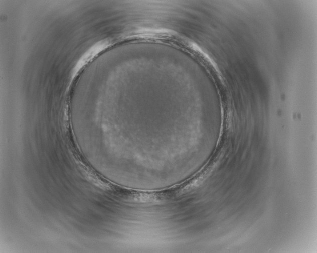 X0000087681362200706011644