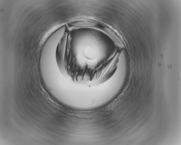 X0000087681363200706011643