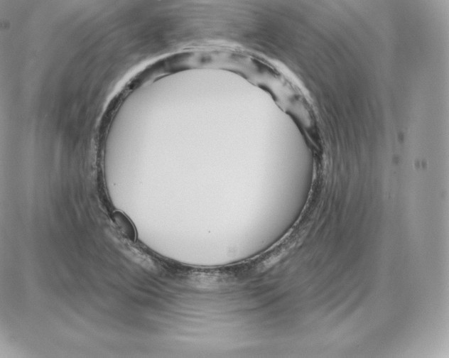 X0000087681364200706011643