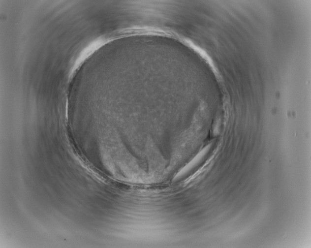 X0000087681365200706011643