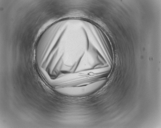 X0000087681366200706011643