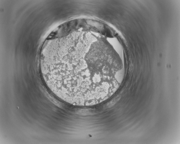 X0000087681367200706011643