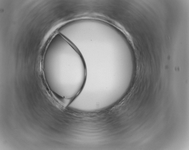 X0000087681368200706011643