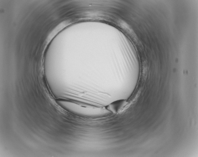 X0000087681370200706011643