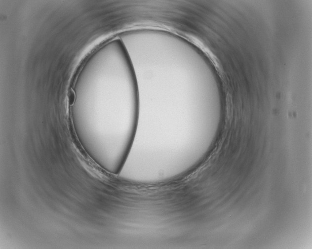 X0000087681372200706011643