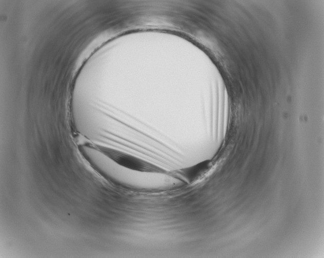 X0000087681374200706011643