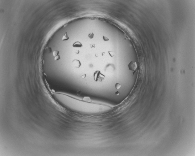 X0000087681375200706011643