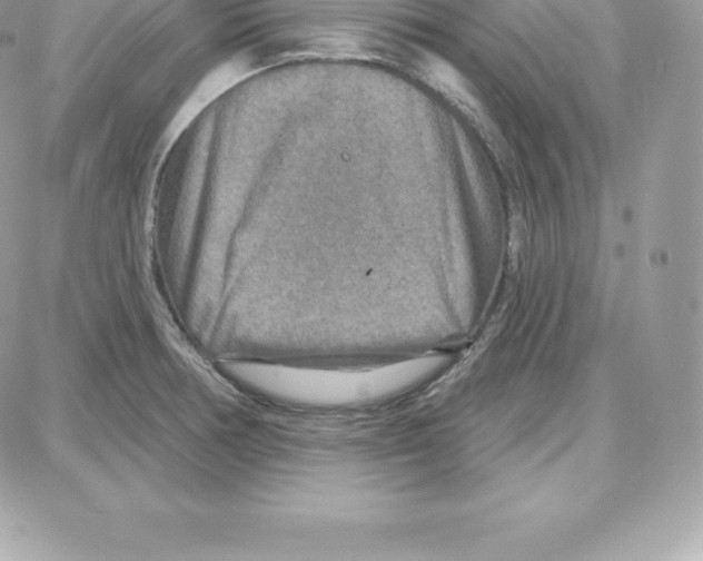 X0000087681378200706011643