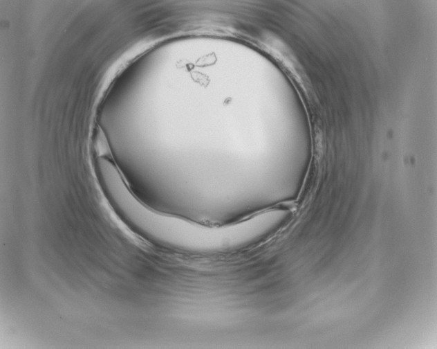 X0000087681379200706011643