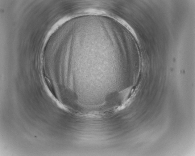 X0000087681381200706011643