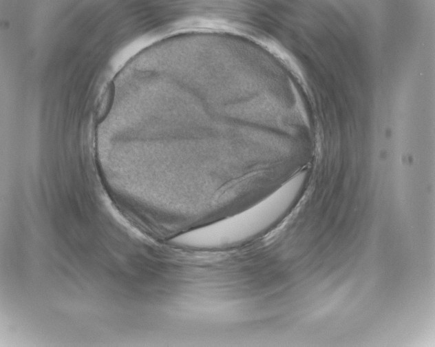 X0000087681382200706011643