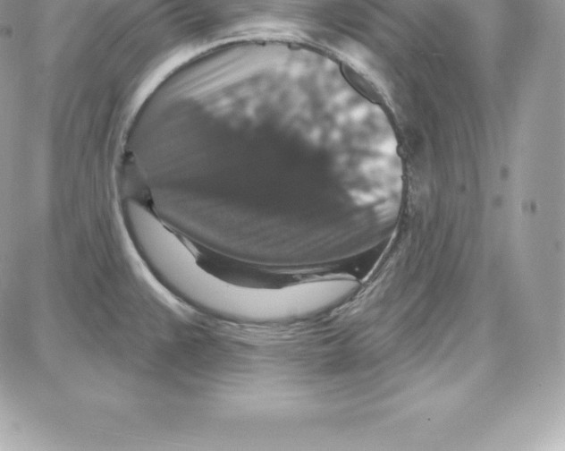 X0000087681383200706011643