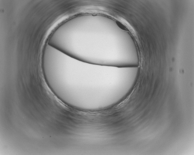 X0000087681384200706011643