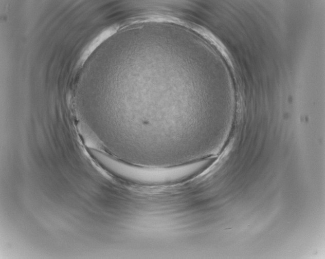 X0000087681385200706011643