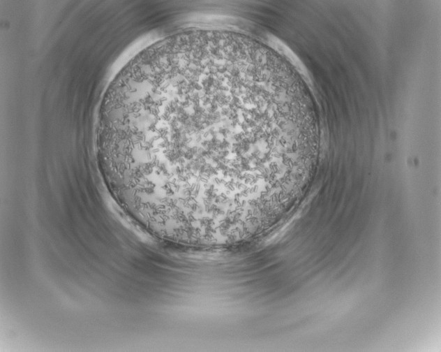 X0000087681386200706011643