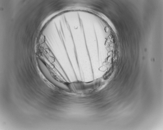 X0000087681388200706011643