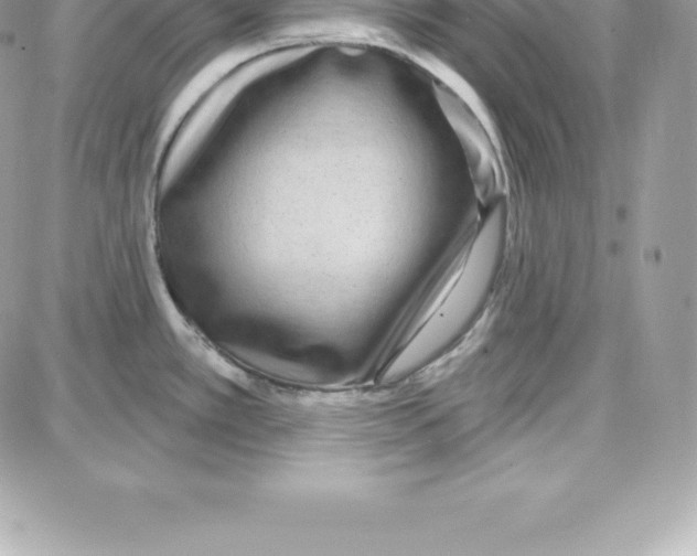 X0000087681389200706011643