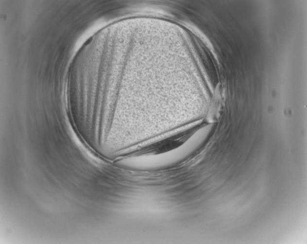 X0000087681391200706011643