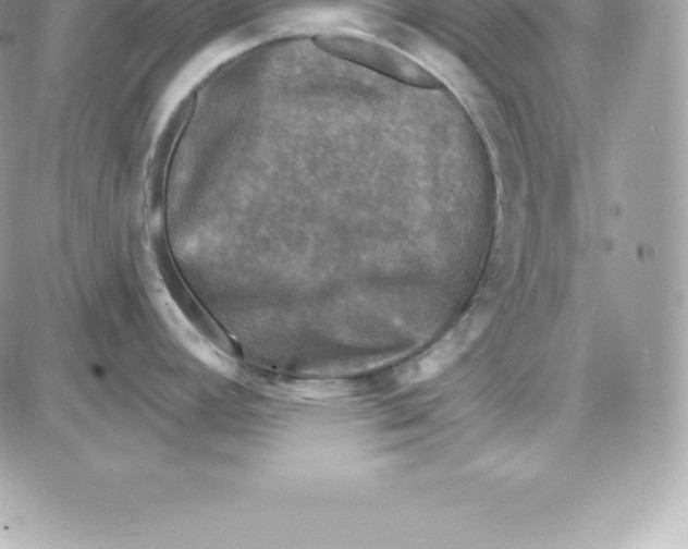 X0000087681392200706011643