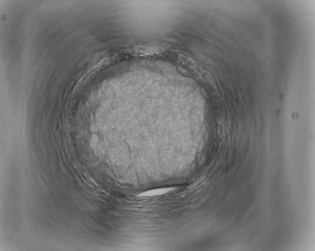 X0000087681393200706011642