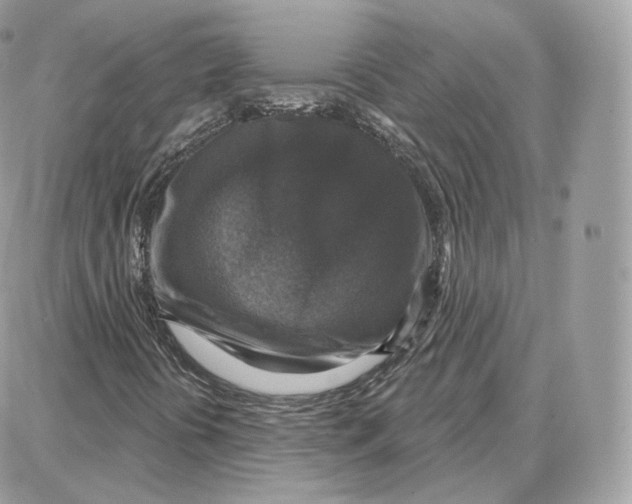 X0000087681394200706011642