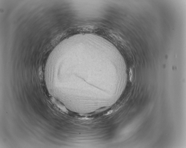 X0000087681395200706011642