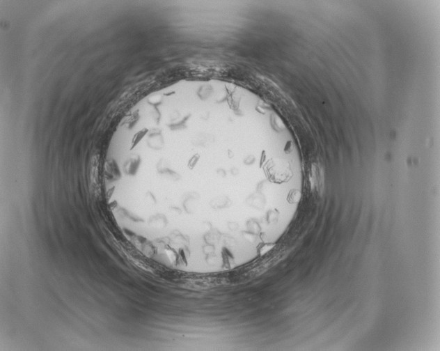 X0000087681396200706011642